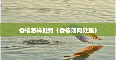 香椿怎样处罚（香椿如何处理）