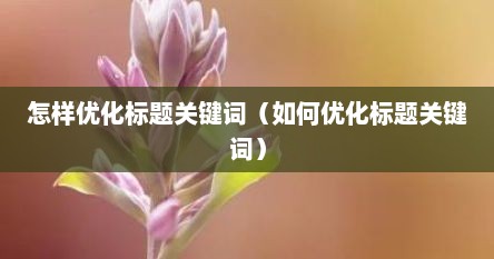 怎样优化标题关键词（如何优化标题关键词）