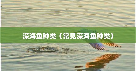 深海鱼种类（常见深海鱼种类）