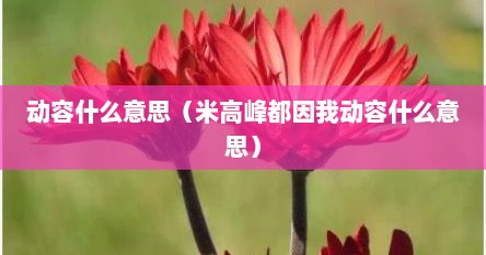 动容什么意思（米高峰都因我动容什么意思）