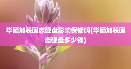 华硕加装固态硬盘影响保修吗(华硕加装固态硬盘多少钱)