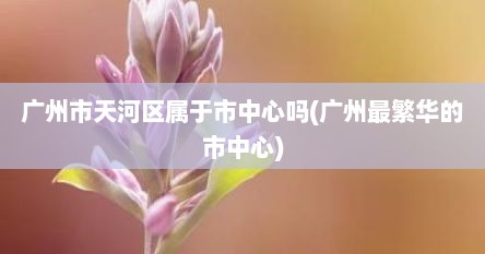 广州市天河区属于市中心吗(广州最繁华的市中心)