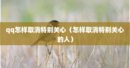 qq怎样取消特别关心（怎样取消特别关心的人）