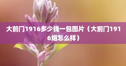 大前门1916多少钱一包图片（大前门1916烟怎么样）