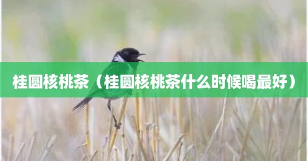 桂圆苹果茶在什么时间段喝（桂圆红枣茶什么时候喝最好）