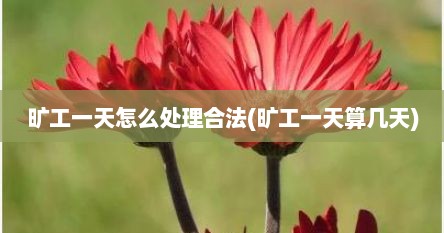 旷工一天怎么处理合法(旷工一天算几天)