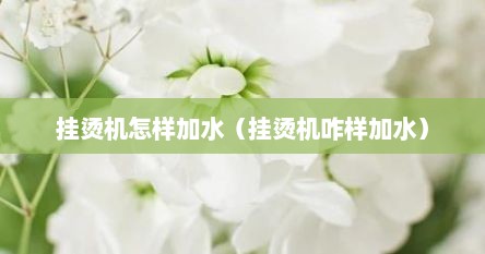 挂烫机怎样加水（挂烫机咋样加水）