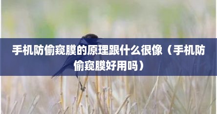 手机防偷窥膜的原理跟什么很像（手机防偷窥膜好用吗）