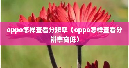 oppo怎样查看分辨率（oppo怎样查看分辨率高低）