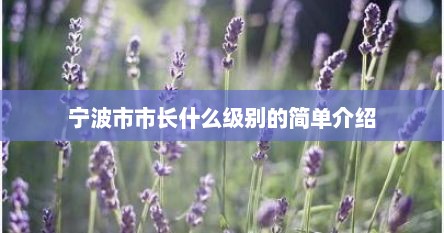 宁波市市长什么级别的简单介绍