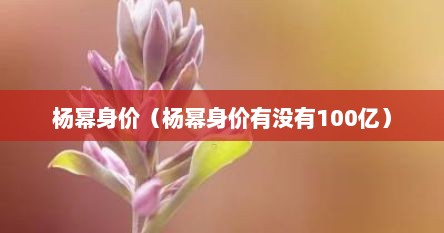 杨幂身价（杨幂身价有没有100亿）