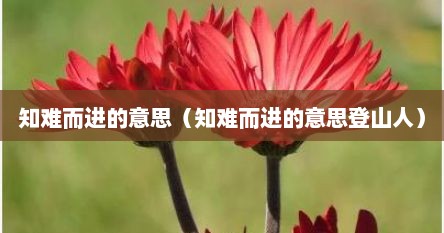 知难而进的意思解释一下（知难而进下一句是什么）