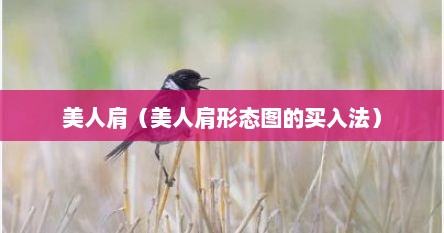 美人肩（美人肩形态图的买入法）