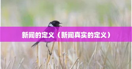 新闻的定义（新闻真实的定义）