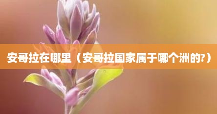 安哥拉在哪里（安哥拉国家属于哪个洲的?）