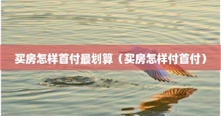 买房怎样首付最划算（买房怎样付首付）