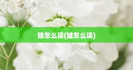 铬怎么读(铖怎么读)