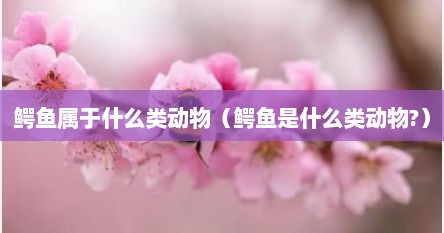 鳄鱼属于什么类动物（鳄鱼是什么类动物?）