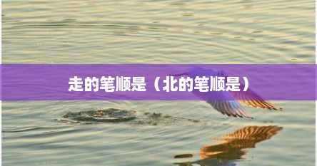 走的笔顺是（北的笔顺是）