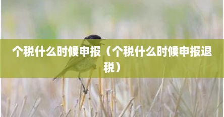 个税什么时候申报（个税什么时候申报退税）