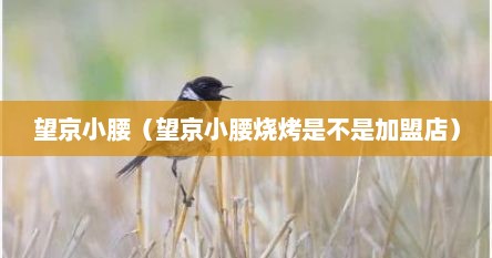 望京小腰（望京小腰烧烤是不是加盟店）
