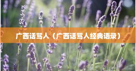广西话骂人（广西话骂人经典语录）