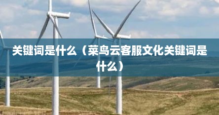 关键词是什么（菜鸟云客服文化关键词是什么）