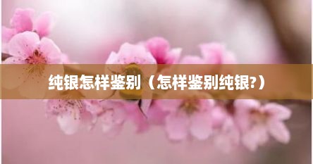 纯银怎样鉴别（怎样鉴别纯银?）