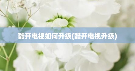 酷开电视如何升级(酷开电视升级)