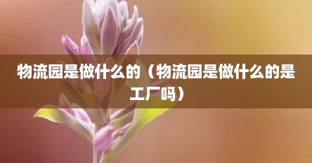物流园是做什么的（物流园是做什么的是工厂吗）