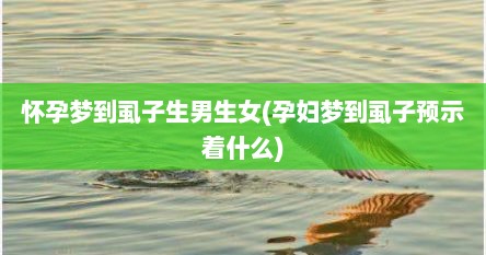 怀孕梦到虱子生男生女(孕妇梦到虱子预示着什么)