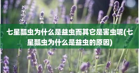 七星瓢虫为什么是益虫而其它是害虫呢(七星瓢虫为什么是益虫的原因)