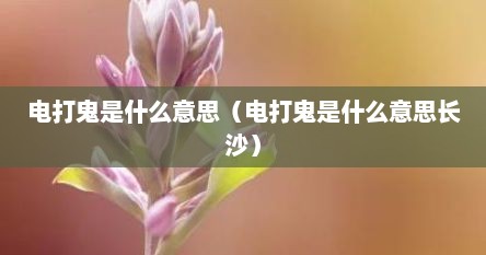 电打鬼是什么意思（电打鬼是什么意思长沙）