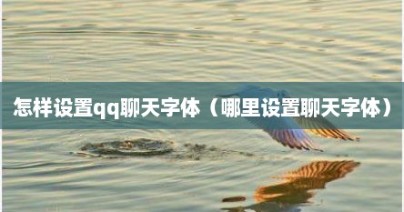 怎样设置qq聊天字体（哪里设置聊天字体）