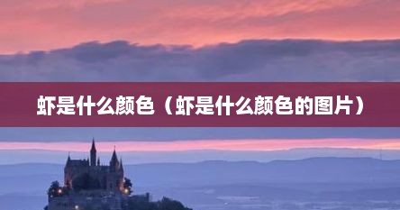 虾是什么颜色（虾是什么颜色的图片）