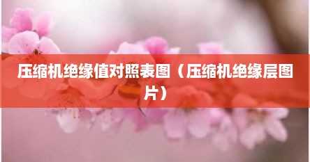 压缩机绝缘值对照表图（压缩机绝缘层图片）