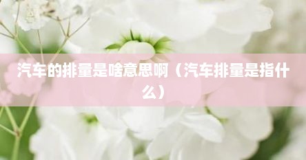 汽车的排量是啥意思啊（汽车排量是指什么）