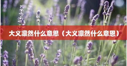 大义凛然什么意思（大义凛然什么意恩）