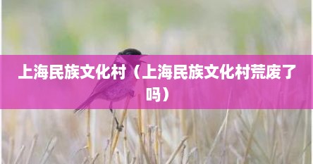 上海民族文化村（上海民族文化村荒废予吗）