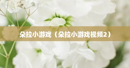 朵拉小游戏大全免费试玩（朵拉小游戏视频）