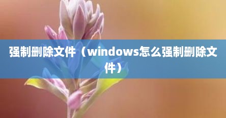 强制删除文件（windows怎么强制删除文件）