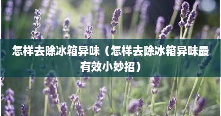 怎样去除冰箱异味（怎样去除冰箱异味最有效小妙招）