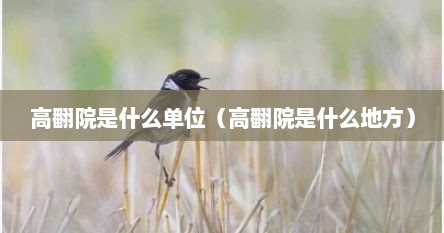 高翻院是什么单位（高翻院是什么地方）