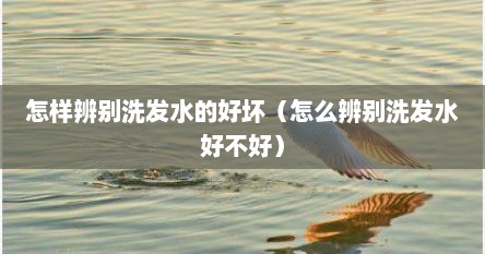 怎样辨别洗发水的好坏（怎么辨别洗发水好不好）