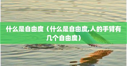 什么是自由度（什么是自由度,人的手臂有几个自由度）