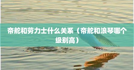 帝舵和劳力士什么关系（帝舵和浪琴哪个级别高）