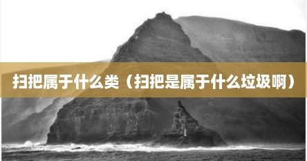扫把属于什么类（扫把是属于什么垃圾啊）