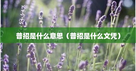 普招是什么意思（普招是什么文凭）