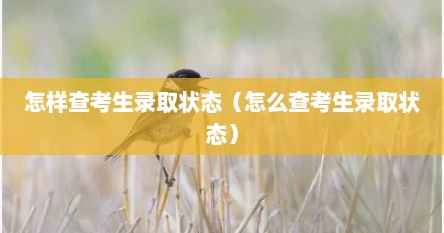 怎样查考生录取状态（怎么查考生录取状态）