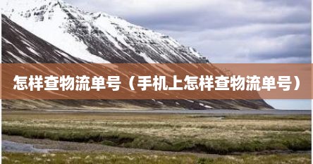 怎样查物流单号（手机上怎样查物流单号）
